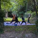 © Yoga & Wine Tasting at Domaine Walbaum - Domaine Walbaum