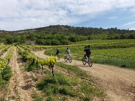 Véloenologie au Domaine Walbaum