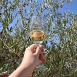 © Olives and wine in the Ardèche Cévennes - ©La_valise_à_fleurs-ADT07