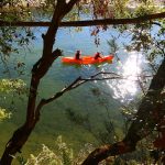 1 jour 1/2 en canoës avec un guide nature des Gorges de l’Ardèche - 1 nuit en bivouac