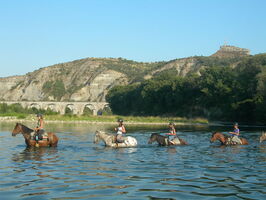 Guided Hike on horseback  - Equitation Chavetourte