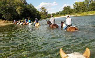 Guided Hike on horseback  - Equitation Chavetourte