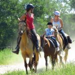© Guided Hike on horseback  - Equitation Chavetourte - Talagrand