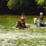 © Guided Hike on horseback  - Equitation Chavetourte - Talagrand