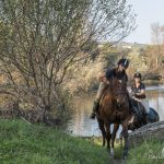 Horse-riding - Le Rouret