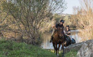 Horse-riding - Le Rouret