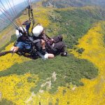 © Paragliding with Taranis - Taranis parapente