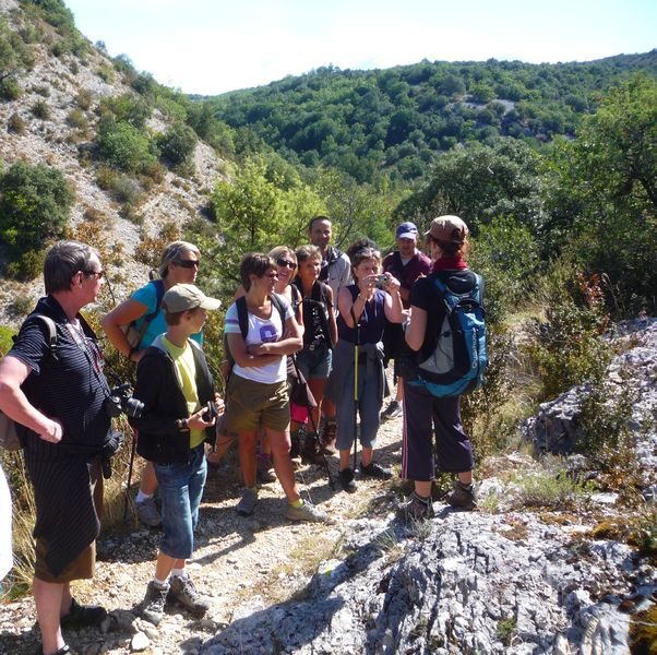 Terre et Ciel Randonnée : randonnées accompagnées et visites guidées de villages