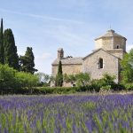 © Saint-Pierre's church - ©Oti Draga