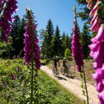 © the Great Mountain Bike Trail - ©M.Dupont-ADT07-CD07