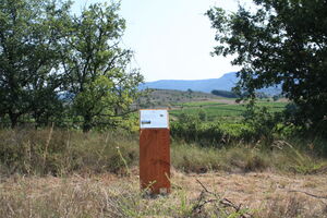 Vineyard walks at Château de la Selve