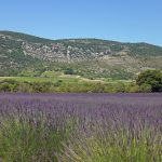 Serre de Barrès, Col d'Eyrole and Dent de Rez