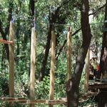 © Bollène Aventure (Treetop adventure park) - Bollene Aventure