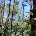 © Bollène Aventure (Treetop adventure park) - Coll. Bollène Aventure