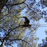 © Bollène Aventure (Treetop adventure park) - Coll. Bollène Aventure