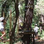 © Bollène Aventure (Treetop adventure park) - Coll. Bollène Aventure