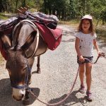 © Hiking with a donkey in the Ardèche Gorges - © Marina Geray