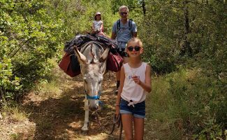 Hiking with a donkey in the Ardèche Gorges