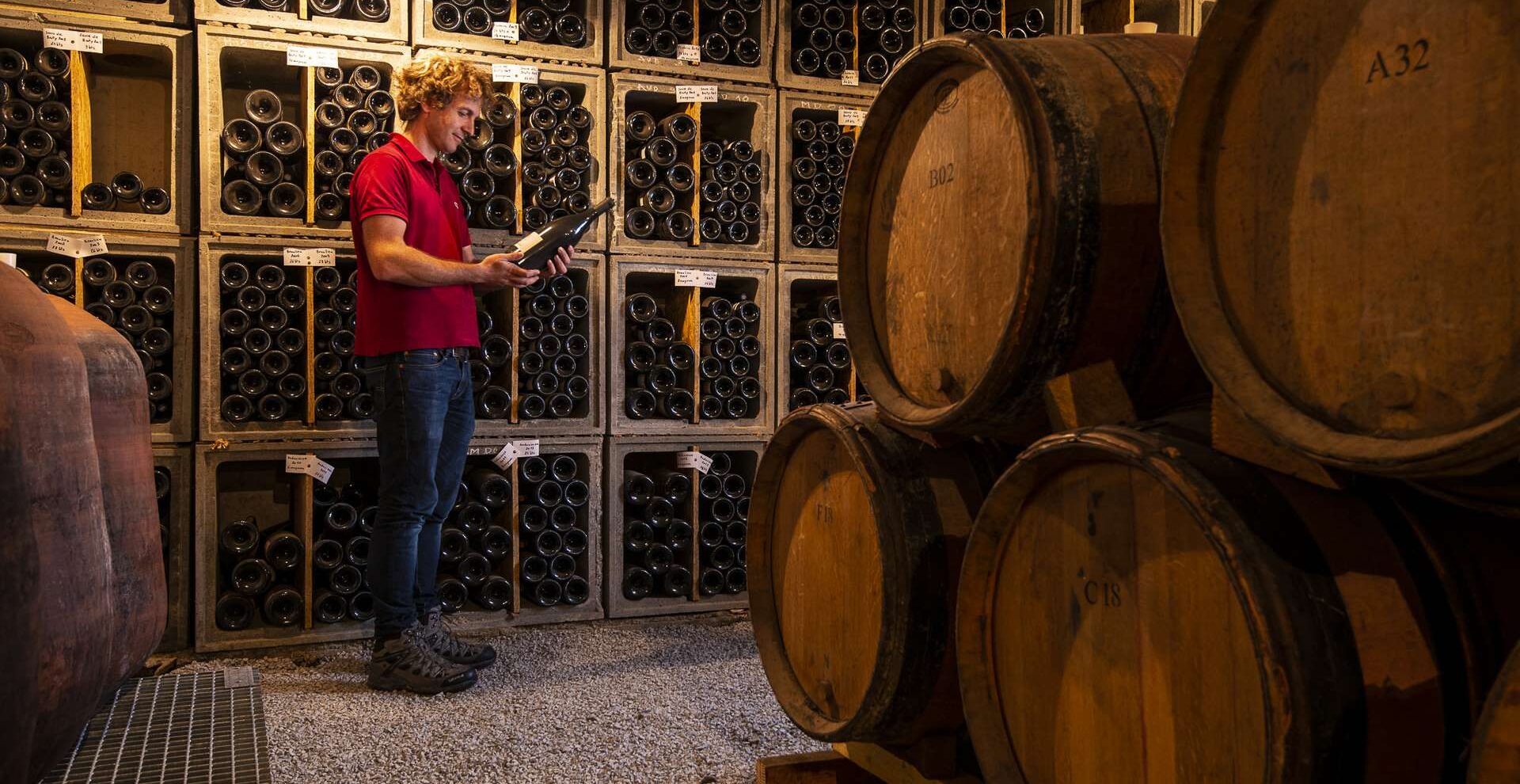 Benoît Chazallon, Domaine de la Selve - Grospierres, le 25 septembre 2018.