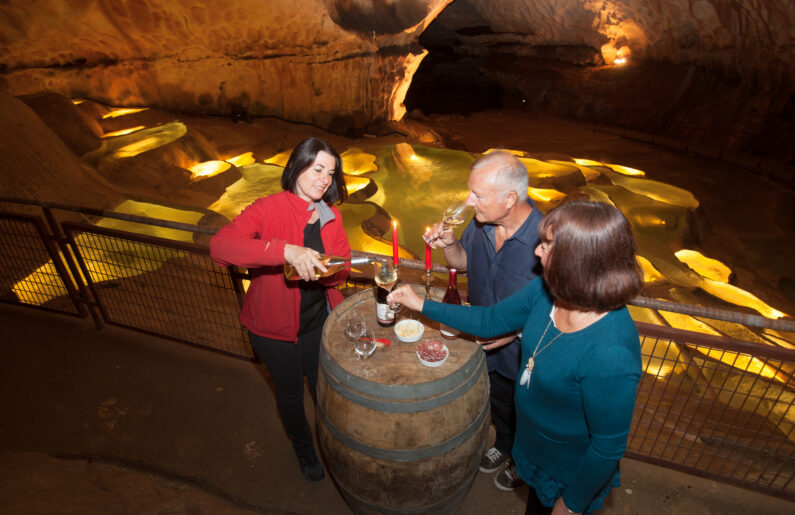 visite oenologique @grotte St Marcel ardeche